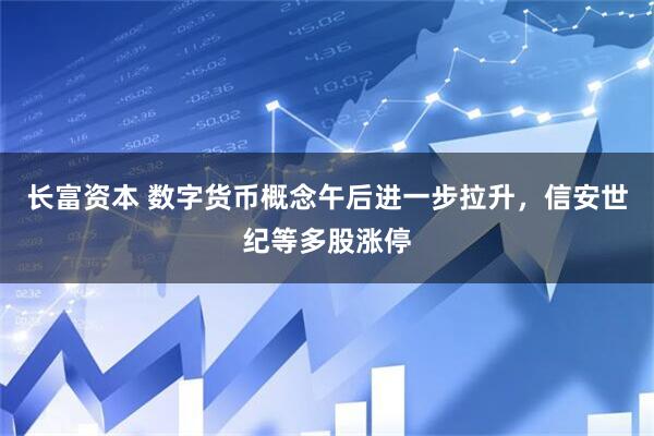 长富资本 数字货币概念午后进一步拉升，信安世纪等多股涨停