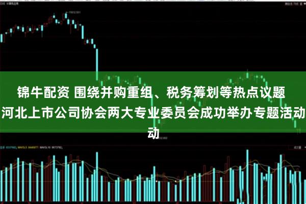 锦牛配资 围绕并购重组、税务筹划等热点议题 河北上市公司协会两大专业委员会成功举办专题活动