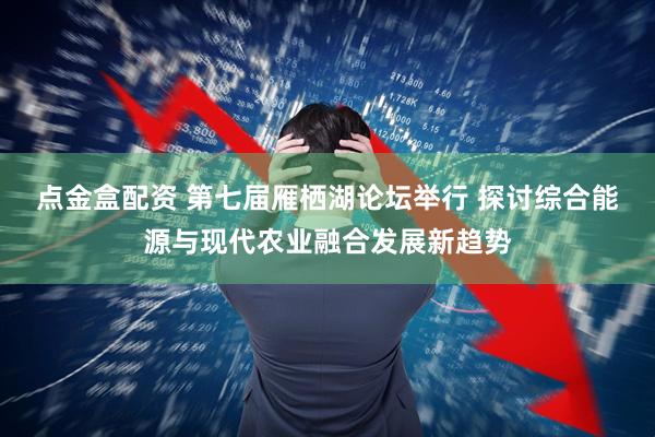 点金盒配资 第七届雁栖湖论坛举行 探讨综合能源与现代农业融合发展新趋势