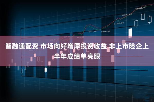智融通配资 市场向好增厚投资收益 非上市险企上半年成绩单亮眼