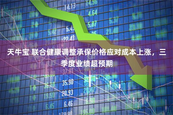 天牛宝 联合健康调整承保价格应对成本上涨，三季度业绩超预期