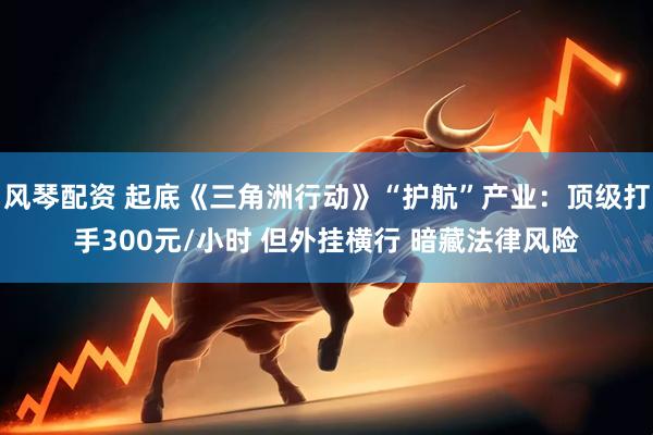 风琴配资 起底《三角洲行动》“护航”产业：顶级打手300元/小时 但外挂横行 暗藏法律风险
